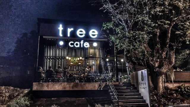 كافيه تري الخبر Tree Cafe (الأسعار+ المنيو+ الموقع)